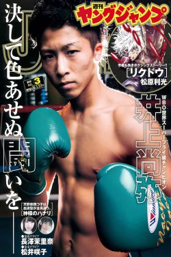 点金胜手27